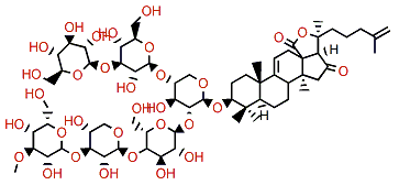 Holotoxin D1